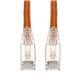 Amphenol ProLabs C-2FCAT6AS-OE