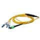 Amphenol ProLabs C-MPO-4CS10M9SMF