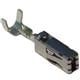 Aptiv 15446674