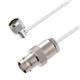 L-Com LCCA30439-FT1