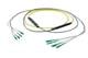 Pasternack PE3FCA246-25M