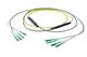 Pasternack PE3FCA250-15M