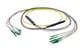 Pasternack PE3FCA382-30M