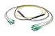 Pasternack PE3FCA386-10M