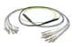 Pasternack PE3FCA448-25M