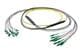 Pasternack PE3FCA452-5M