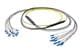 Pasternack PE3FCA453-5M
