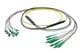 Pasternack PE3FCA458-15M
