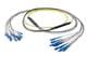 Pasternack PE3FCA463-5M