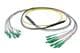 Pasternack PE3FCA464-25M