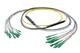 Pasternack PE3FCA468-30M