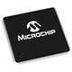 Microchip Technology PIC32MZ2025DAS176-V/2J