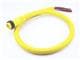 Molex 1300080238