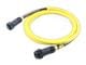 Molex 1300102098