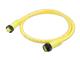 Molex 1300101256