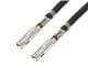 Molex 216300-1124