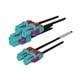 Molex 225775-3124