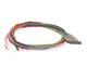 TE Connectivity / AMP 3-1589455-3